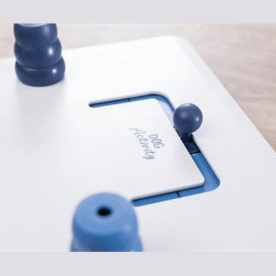 Trixie Dog Activity Move2Win Hondenspel