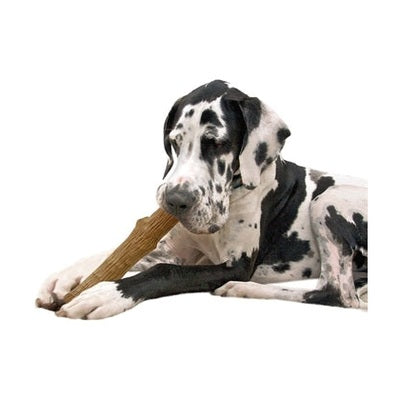 Petstages Dogwood Durable Stick