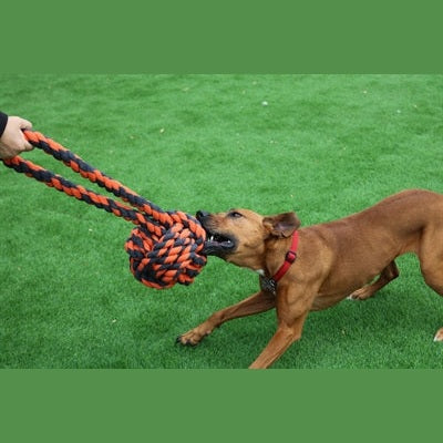 Happy Pet Nuts For Knots Extreme Bal Tugger