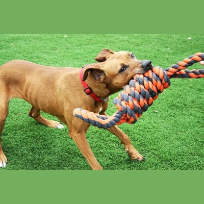 Happy Pet Nuts For Knots Extreme Spoel 8 Vorm Tugger Grijs / Oranje