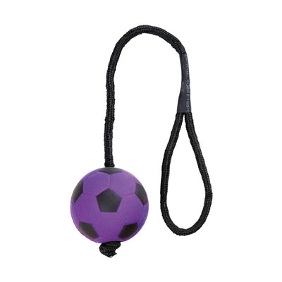 Trixie Sportbal Aan Touw Schuimrubber Drijvend Assorti