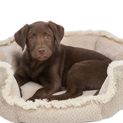 Trixie Hondenmand Boho Hoekig Beige