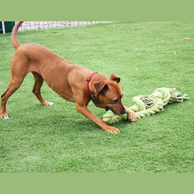 Happy Pet King Size Tug Flostouw