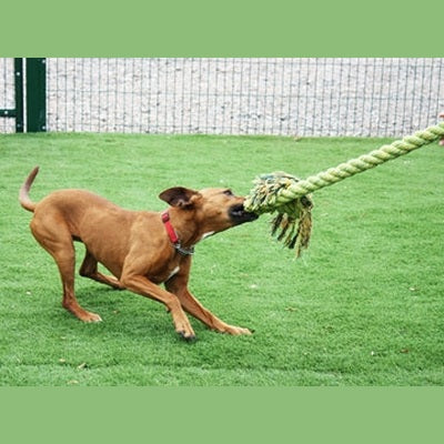 Happy Pet King Size Tug Flostouw