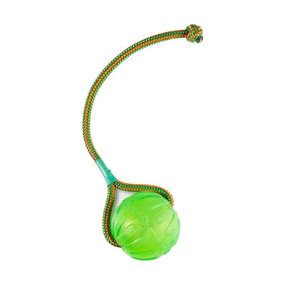 Starmark Swing 'N Fling Chew Bal Aan Koord